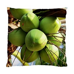 Coconuts 1 Standard Cushion Case (two Sides) by trendistuff