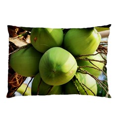 Coconuts 1 Pillow Case by trendistuff