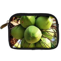 Coconuts 1 Digital Camera Cases by trendistuff