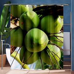 Coconuts 1 Shower Curtain 60  X 72  (medium)  by trendistuff