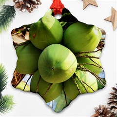 Coconuts 1 Snowflake Ornament (two Sides) by trendistuff