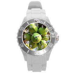 Coconuts 1 Round Plastic Sport Watch (l) by trendistuff