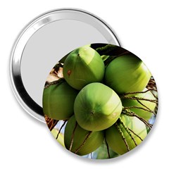 Coconuts 1 3  Handbag Mirrors by trendistuff