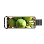 COCONUTS 1 Portable USB Flash (One Side) Front