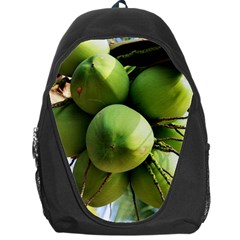 Coconuts 1 Backpack Bag by trendistuff