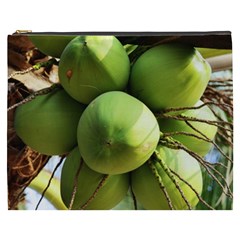 Coconuts 1 Cosmetic Bag (xxxl)  by trendistuff