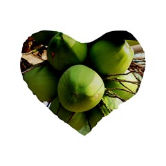 Coconuts 1 Standard 16  Premium Heart Shape Cushions by trendistuff