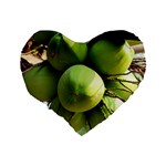 COCONUTS 1 Standard 16  Premium Heart Shape Cushions Back