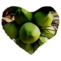 Coconuts 1 Large 19  Premium Heart Shape Cushions by trendistuff