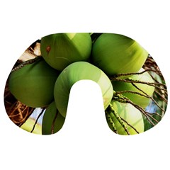 Coconuts 1 Travel Neck Pillows by trendistuff