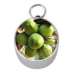 Coconuts 1 Mini Silver Compasses by trendistuff