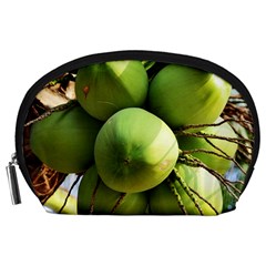 Coconuts 1 Accessory Pouches (large)  by trendistuff