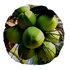 Coconuts 1 Large 18  Premium Flano Round Cushions by trendistuff