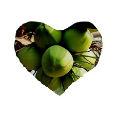 Coconuts 1 Standard 16  Premium Flano Heart Shape Cushions by trendistuff