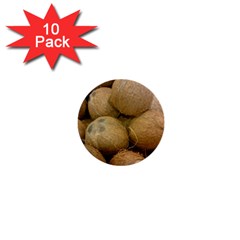 Coconuts 2 1  Mini Buttons (10 Pack)  by trendistuff