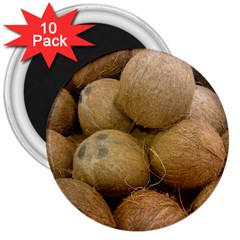 Coconuts 2 3  Magnets (10 Pack)  by trendistuff