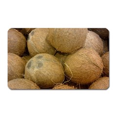 Coconuts 2 Magnet (rectangular) by trendistuff