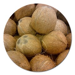 Coconuts 2 Magnet 5  (round) by trendistuff