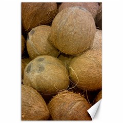 Coconuts 2 Canvas 12  X 18   by trendistuff