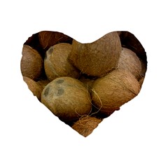 Coconuts 2 Standard 16  Premium Heart Shape Cushions by trendistuff