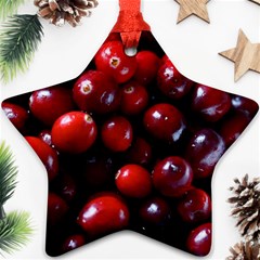 Cranberries 1 Ornament (star) by trendistuff