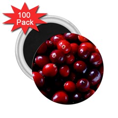 Cranberries 1 2 25  Magnets (100 Pack)  by trendistuff