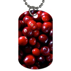 Cranberries 1 Dog Tag (two Sides) by trendistuff