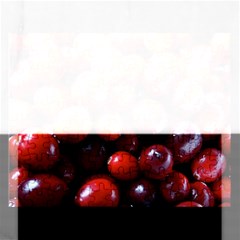 Cranberries 1 Rectangular Jigsaw Puzzl by trendistuff