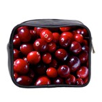 CRANBERRIES 1 Mini Toiletries Bag 2-Side Back