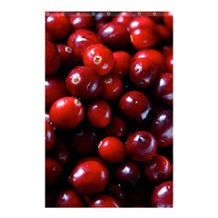 Cranberries 1 Shower Curtain 48  X 72  (small)  by trendistuff