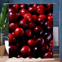 Cranberries 1 Shower Curtain 60  X 72  (medium)  by trendistuff