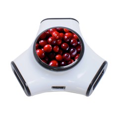 Cranberries 1 3-port Usb Hub by trendistuff