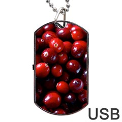 Cranberries 1 Dog Tag Usb Flash (one Side) by trendistuff