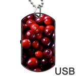 CRANBERRIES 1 Dog Tag USB Flash (One Side) Front