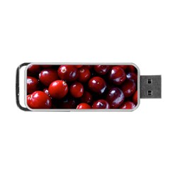 Cranberries 1 Portable Usb Flash (one Side) by trendistuff