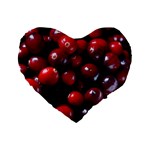 CRANBERRIES 1 Standard 16  Premium Heart Shape Cushions Front