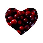 CRANBERRIES 1 Standard 16  Premium Heart Shape Cushions Back