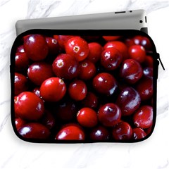 Cranberries 1 Apple Ipad 2/3/4 Zipper Cases by trendistuff