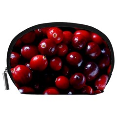 Cranberries 1 Accessory Pouches (large)  by trendistuff