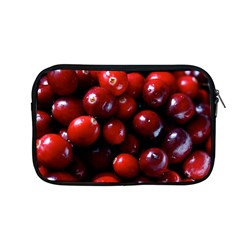 Cranberries 1 Apple Macbook Pro 13  Zipper Case by trendistuff