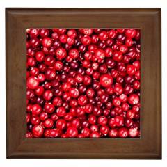 Cranberries 2 Framed Tiles by trendistuff