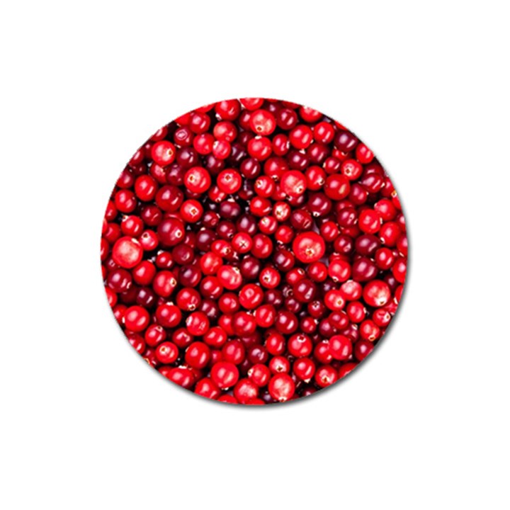 CRANBERRIES 2 Magnet 3  (Round)