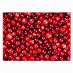 Cranberries 2 Large Glasses Cloth (2-side) by trendistuff