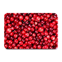 Cranberries 2 Plate Mats by trendistuff