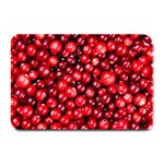 CRANBERRIES 2 Plate Mats 18 x12  Plate Mat