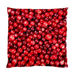 Cranberries 2 Standard Cushion Case (one Side) by trendistuff