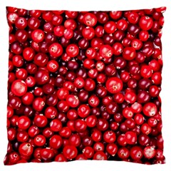 Cranberries 2 Standard Flano Cushion Case (two Sides) by trendistuff