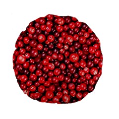 Cranberries 2 Standard 15  Premium Flano Round Cushions by trendistuff