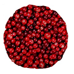 Cranberries 2 Large 18  Premium Flano Round Cushions by trendistuff