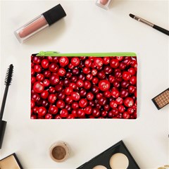 Cranberries 2 Cosmetic Bag (xs) by trendistuff